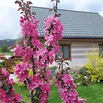 U Justyny Karpacz Sosnowka * Podgorzyn