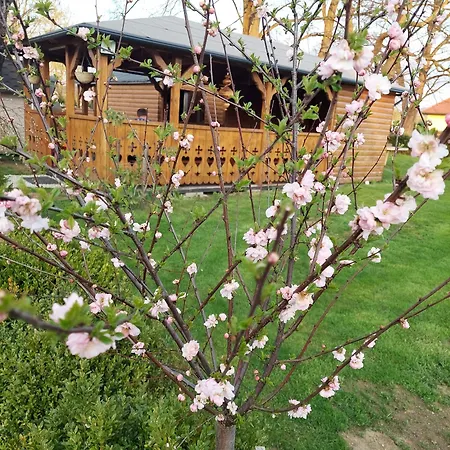 U Justyny Karpacz Sosnowka Lodge *