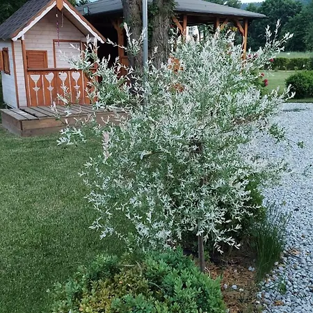 U Justyny Karpacz Sosnowka * Podgórzyn