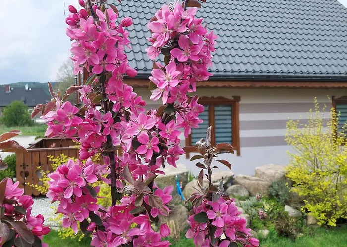 U Justyny Karpacz Sosnowka * Podgórzyn