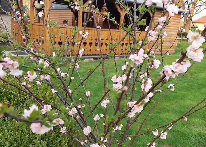 U Justyny Karpacz Sosnowka Lodge *